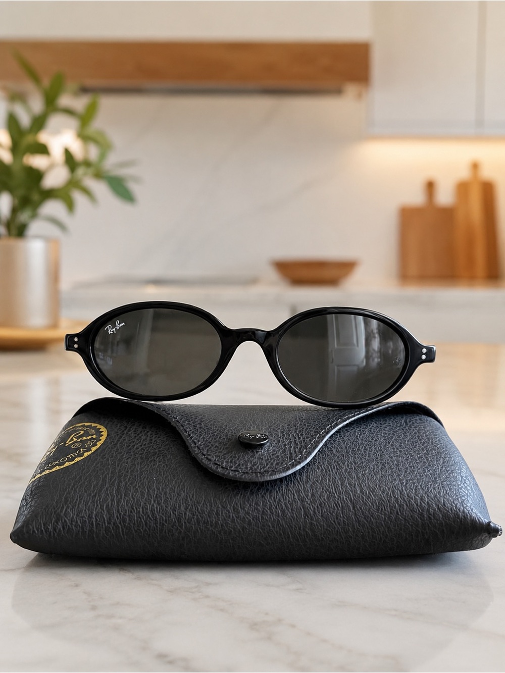 Ray-Ban Black Oval Sunglasses